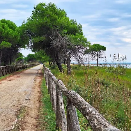 Apartamento Three-bedroom Very Close To The