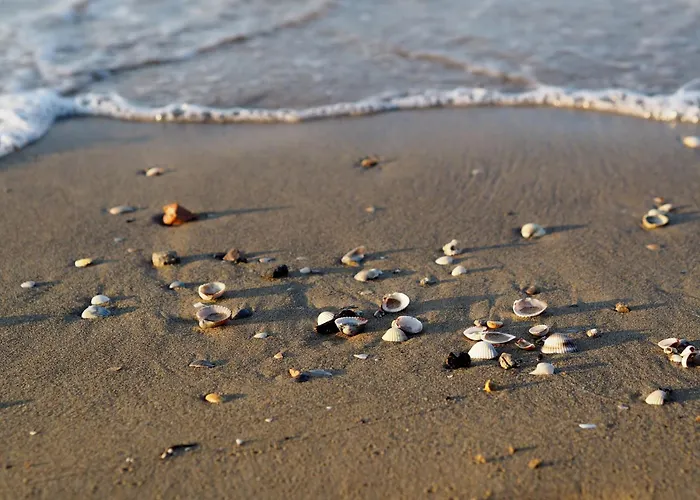 Three-bedroom Very Close To The * Bibione