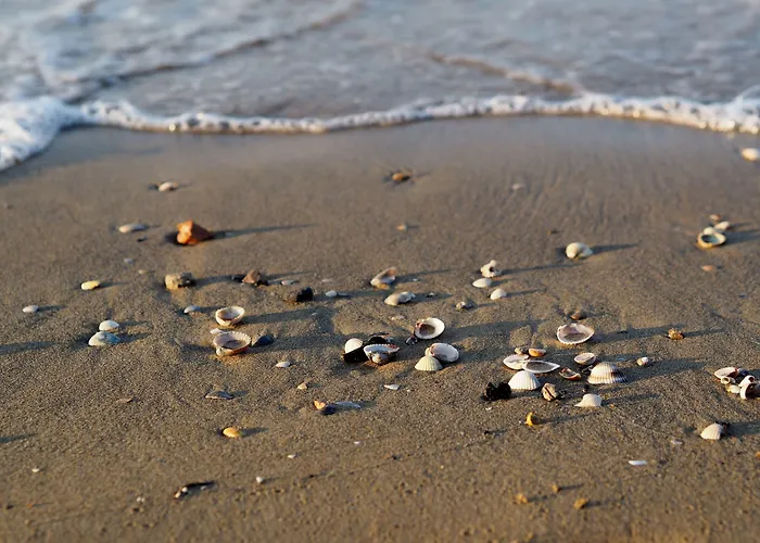 Three-bedroom Very Close To The Daire Bibione